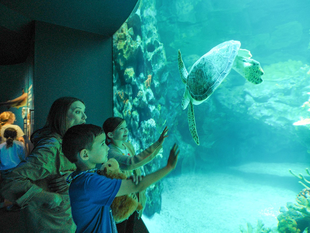 Memorial Day 2023 Weekend Roundup The Buzz Magazines